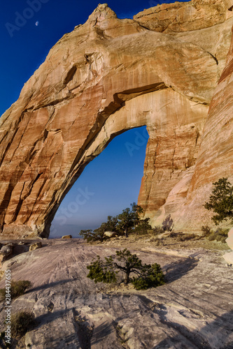 USA, Arizona, White Mesa Arch and Pines © John Ford/Danita Delimont