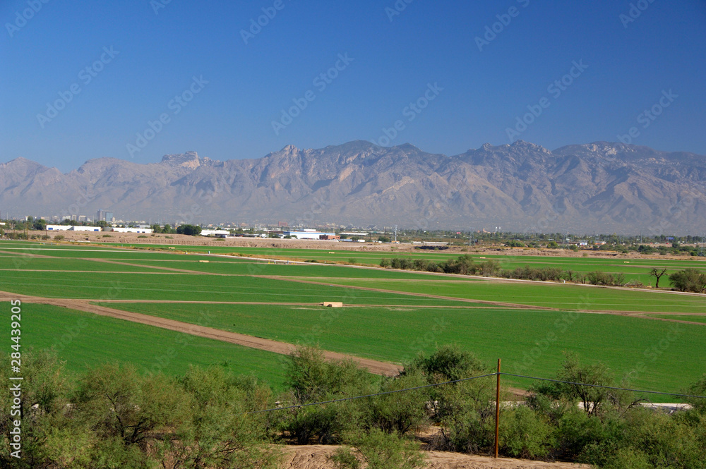USA, Arizona, Tucson. Overview of Tucson from Mission San Xavier del Bac (aka White Dove of the Desert).