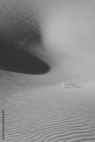 Wall Mural USA, California