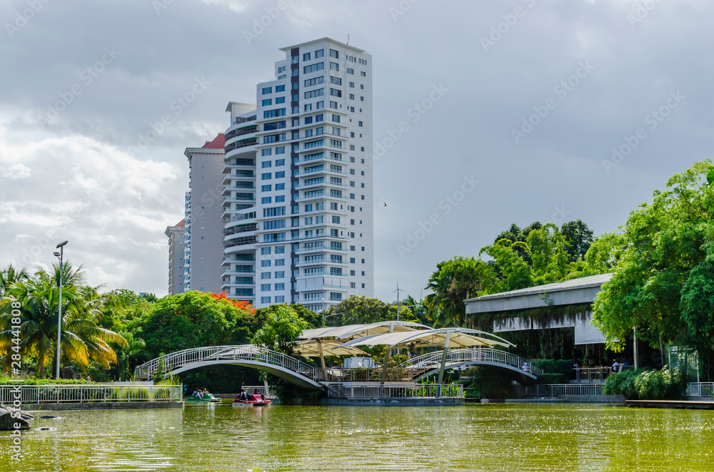 lake surrounded by natural and tropical landscapes of a park with an arch bridge cruising the lake with beautiful green tones and reflection in the water and city buildings in the background, miami
