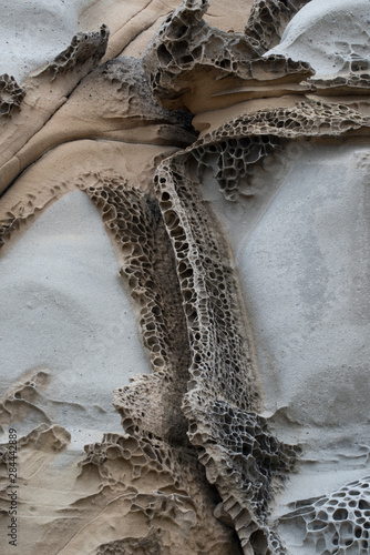 USA, California. Abstract tafoni formation detail at Salt Point State Park photo