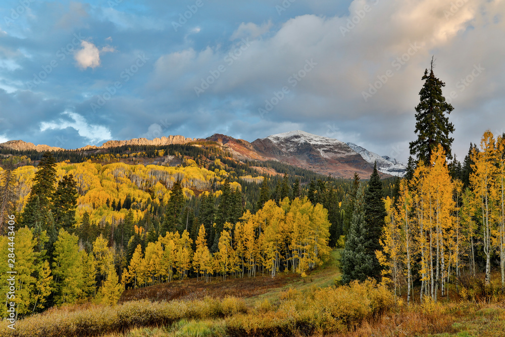 Fall colors near Kebler Pass, Crested Butte