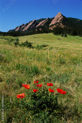 USA, Colorado, Boulder. Flatirons and poppies at Chautauqua Park. Credit as: ...