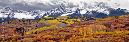 USA  Colorado  San Juan Mountains. Autumn turns aspen leaves orange and gold at Dallas Divide in the San Juan Mountains in Colorado