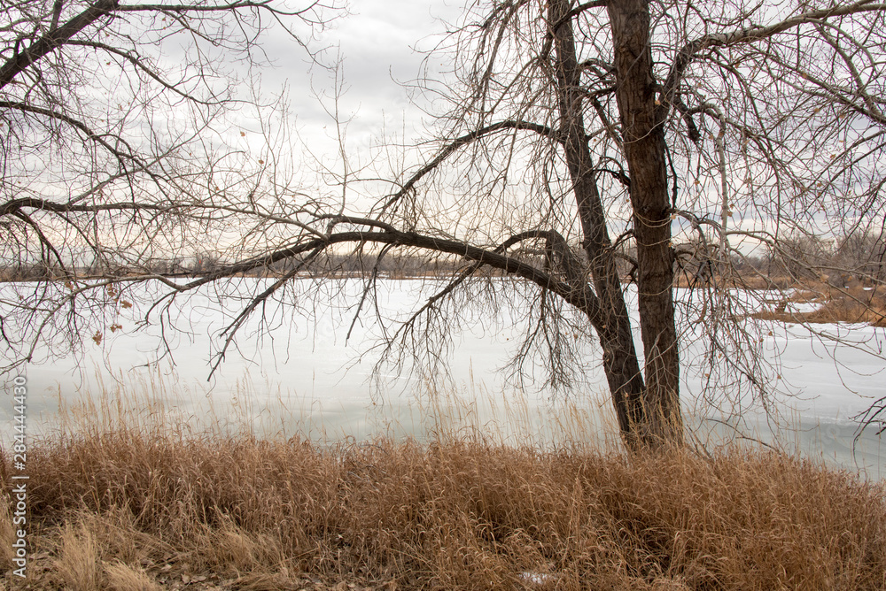Obraz premium USA, Colorado, Fort Collins Riverbend Ponds natural area. Frozen winter scenic