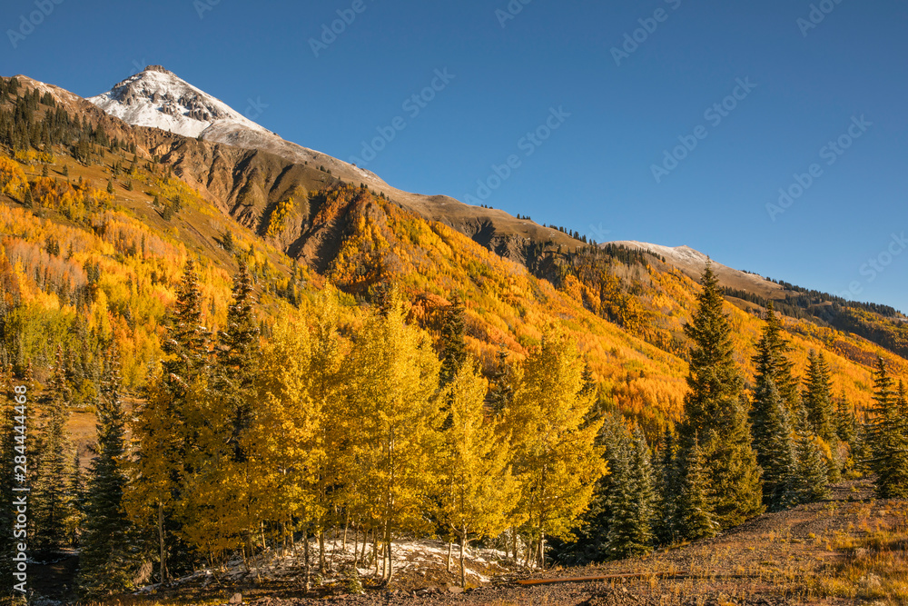 Autumn, aspen trees on mountain slope from Million Dollar Highway near Crystal Lake, Ouray, Colorado
