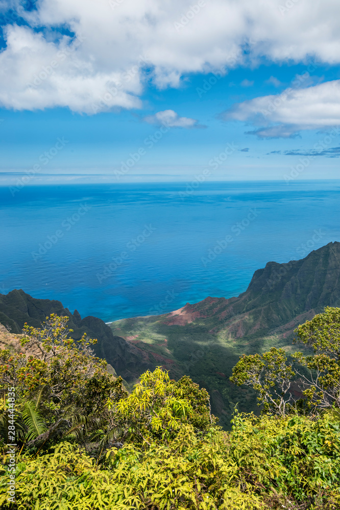 Hawaii, Kauai, Kokee State Park, View of the Kalalau Valley from Kalalau Lookout