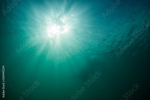 A spearfisherman is silhouetted by sunrays shining through the emerald waters of Florida Bay.