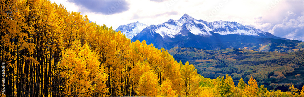 USA, Colorado, Telluride. Aspen forests cover the foothills of the San Juan Mountains near Telluride, Colorado