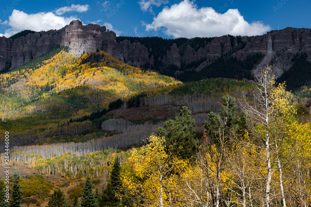 Usa, Colorado. Autumn yellow aspen beneath Cimarron Ridge with clouds, Uncompahgre National Forest.