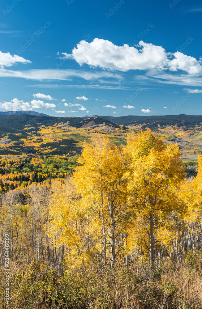 Fototapeta premium Usa, Colorado, Routt National Forest, Autumn Color in the Flat Tops Wilderness