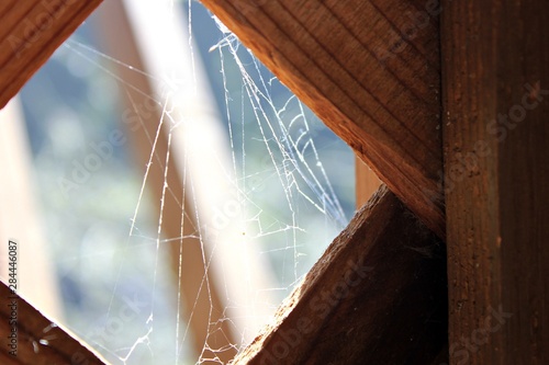 Wood & Cobwebs