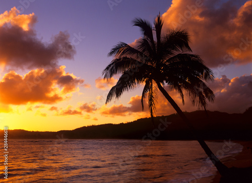 Tropical sunrise on the Garden Isle  Kauai  Hawaii.