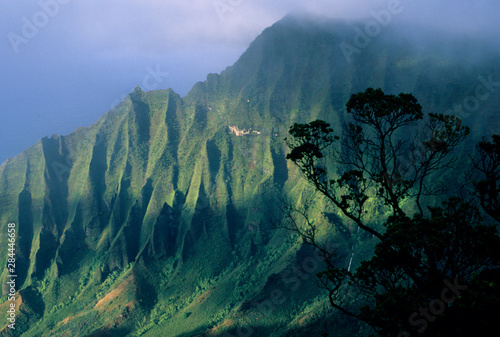 USA, Hawaii, Kaua'i Island, Kokee State Park, Kalalau Valley, Na Pali Coast, fluted volcanic cliffs.
