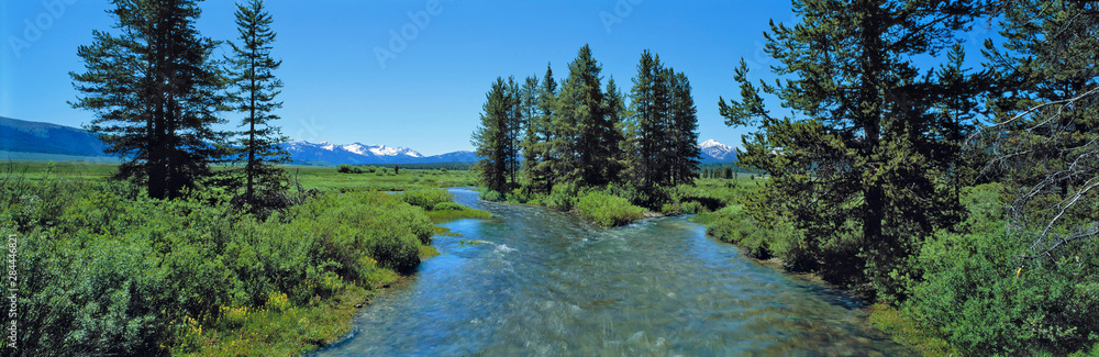 USA, Idaho, Sawtooth NRA. Visitors enjoy a summer view of the rushing headwaters of the Salmon River, Sawtooth NRA, Idaho.