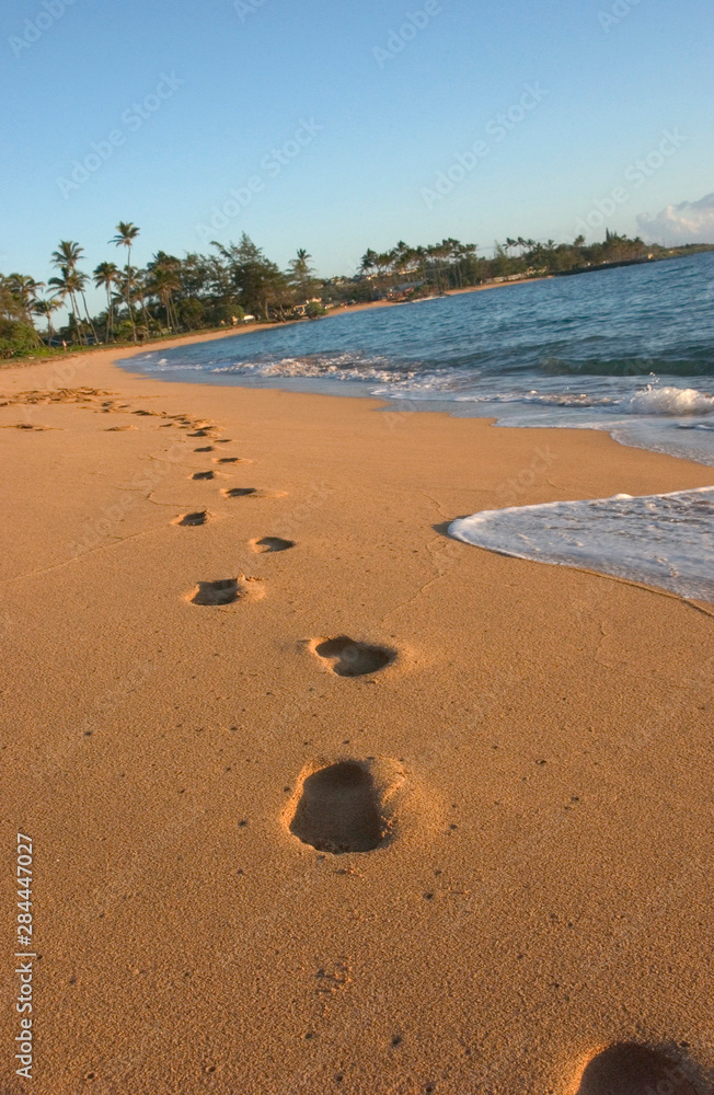 USA, Hawaii, Kauai, Kapa'a, beachfront. 