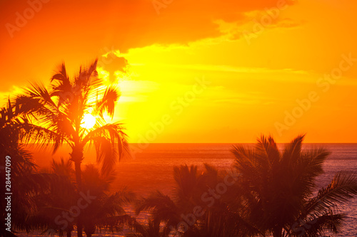 Sunset and palm trees, Wailea, Maui, Hawaii. photo