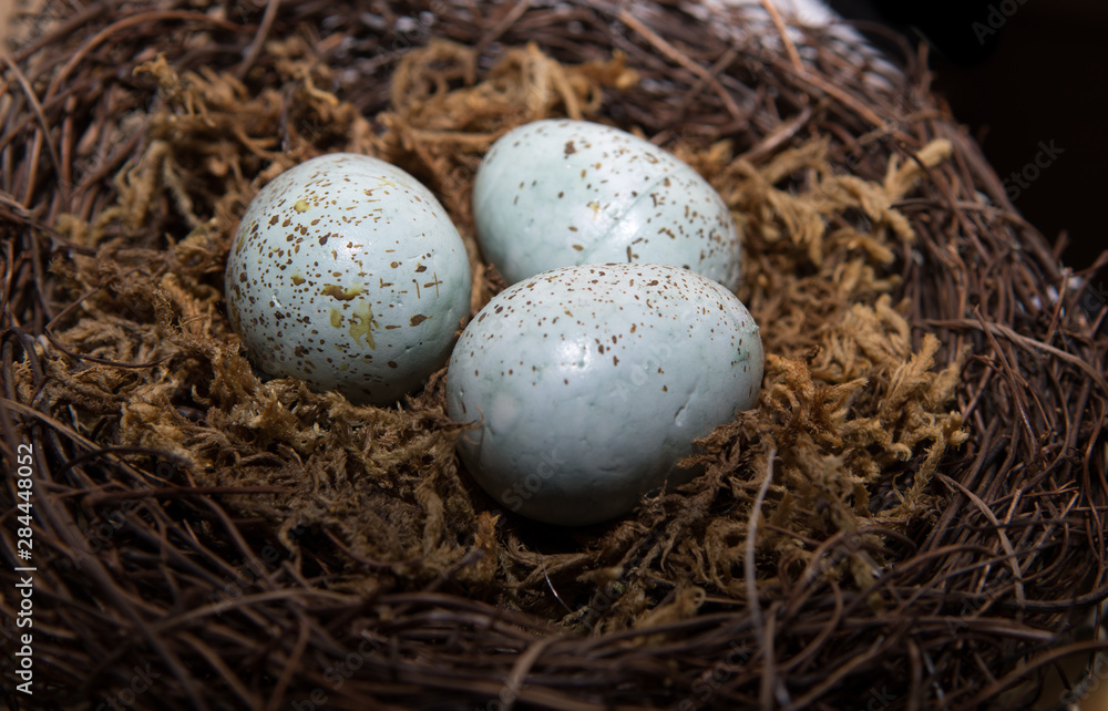 Eggs in Birds Nest in decorative white dish. Three Green Easter Eggs with rustic look. Eggs in Birds Nest in decorative white dish. Three Green Easter Eggs with rustic look.