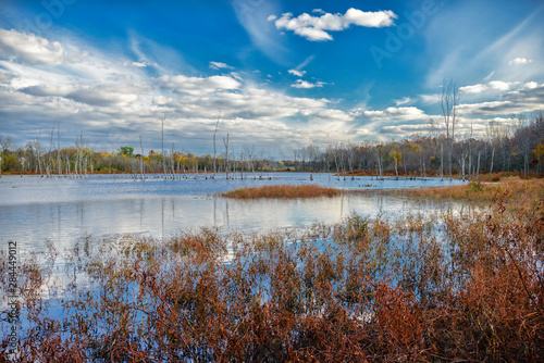 USA, Indiana, The Celery Bog wetlands in autumn