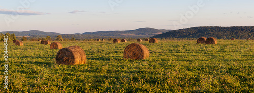 Hay bales in a field next to the Roach Farm Campsite on the International Appalachian Trail. Merrill, Maine, near Smyrna Mills. photo