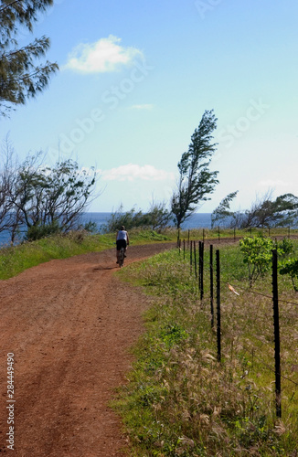 USA, Hawaii, Kauai, Old Kapaa Highway, northwest coast now walking and bike trail.  © Savanah Stewart/Danita Delimont