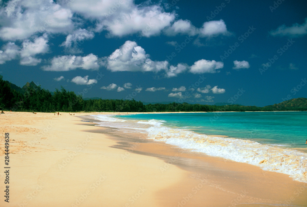 USA, Hawaii. Beach scene
