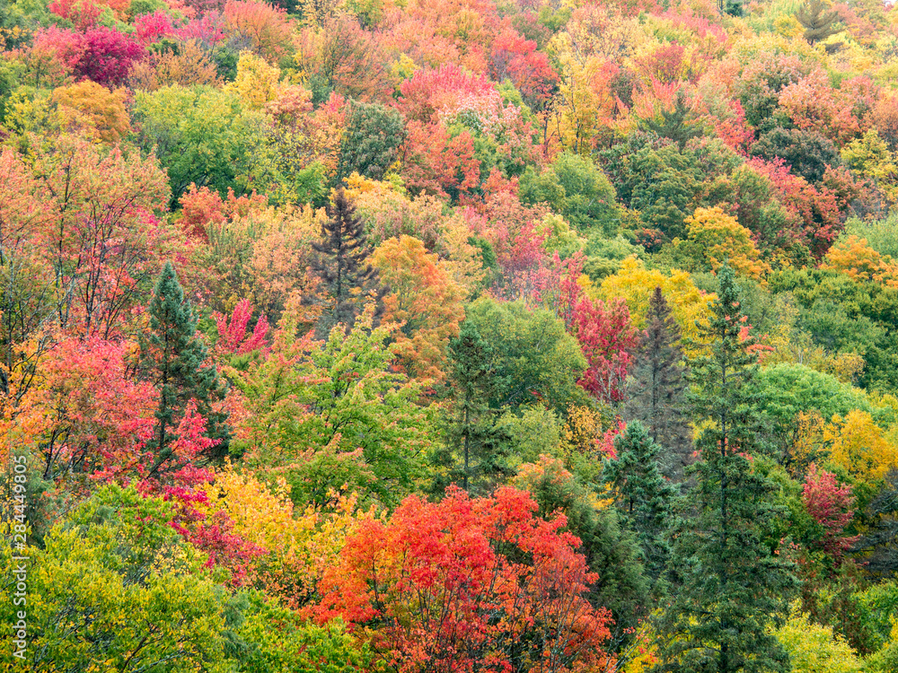 USA, Michigan, Upper Peninsula. Valley below the Cut River Bridge with Lake Michigan on the other side of the bridge.