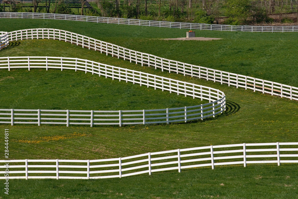 Fototapeta premium White fence winding across Calumet horse farm, Lexington, Kentucky