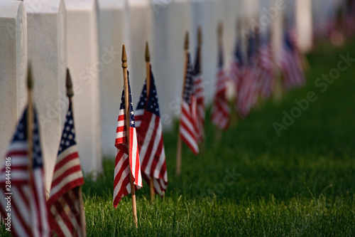 Fotografiet American flags on tombs of American Veterans on Memorial Day, Zachary Taylor Nat