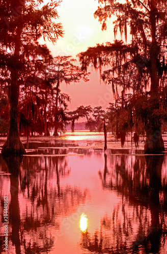 USA, Louisiana. Sunset on a Atchafalaya Basin bayou. 