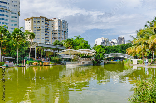 lake surrounded by natural and tropical landscapes of a park with an arch bridge cruising the lake with beautiful green tones and reflection in the water and city buildings in the background