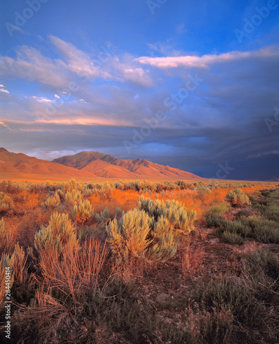 USA, Nevada, Denio. Sunset light colors the sagebrush and the hillsides in the Nevada desert. photo