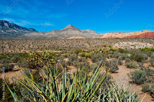 USA, Nevada, Las Vegas, Red Rock National Conservation Area, Red Rock Canyon Overlook