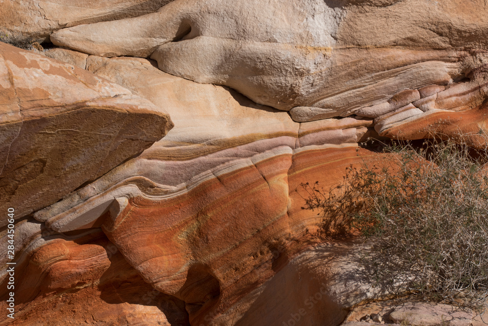 USA, Nevada. Abstract lines of sandstone rock formations, Gold Butte National Monument