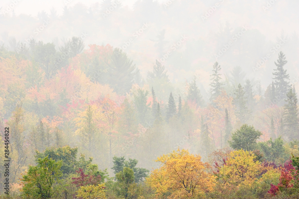 USA, Michigan, Upper Peninsula, Hiawatha National Forest. Cold autumn morning creates foggy haze over forest. 