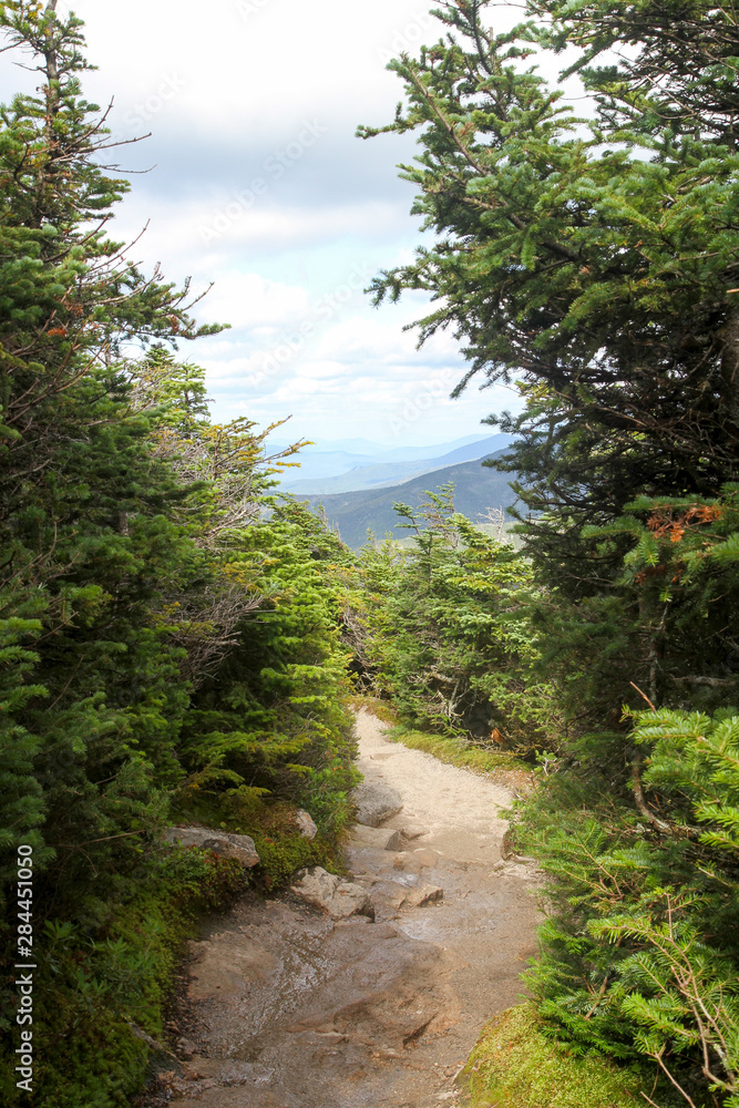 Naklejka premium Path near the summit of Cannon Mountain, Franconia Notch State Park, New Hampshire, USA