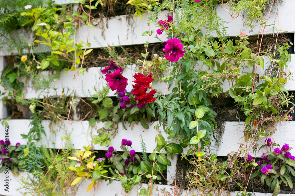 Close up of a living wall. Santa Fe, New Mexico, USA.