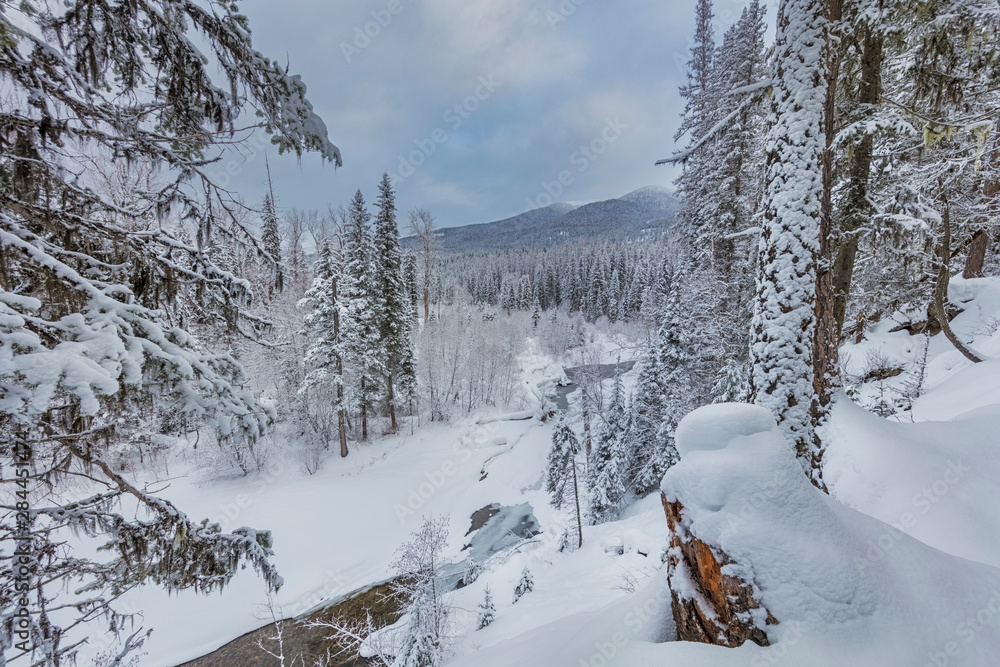 Obraz premium Swift Creek in the Stillwater State Forest near Whitefish, Montana, USA
