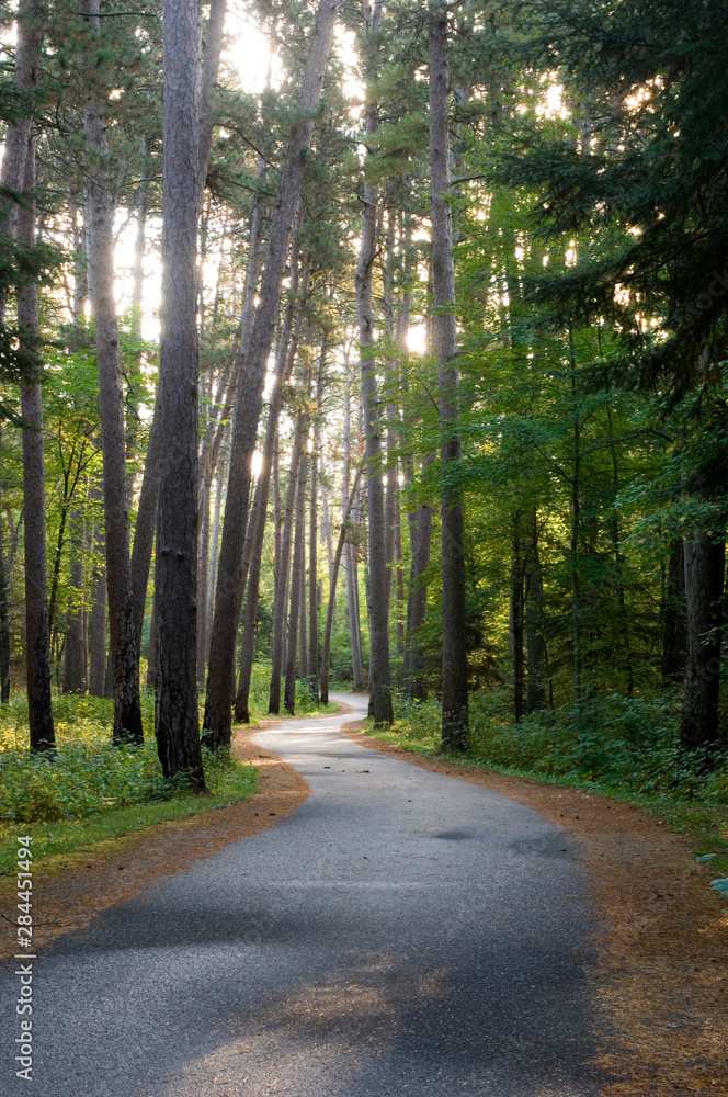 Fototapeta premium USA, Minnesota, Itasca State Park, Wilderness Drive