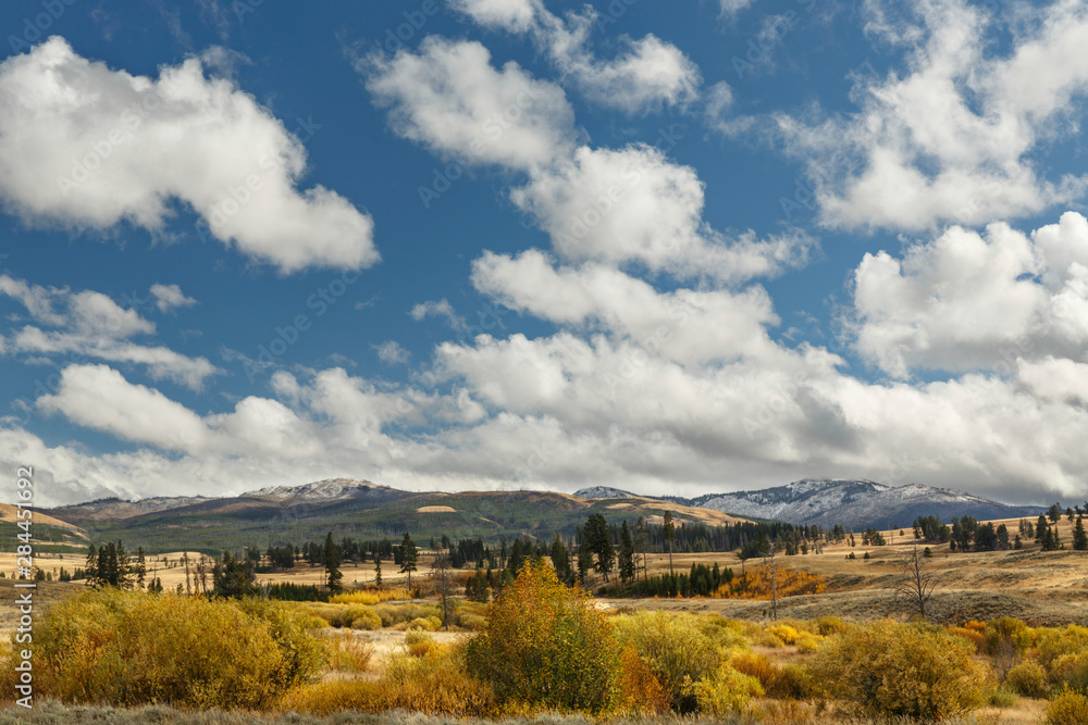 Autumn colors and clouds, Yellowstone National Park, Montana