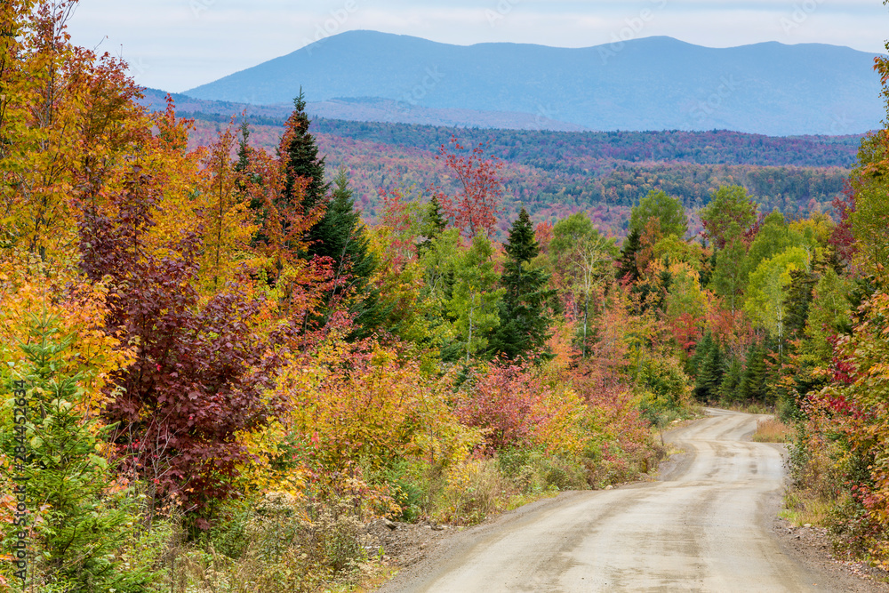 A logging road in Reddington Township, Maine provides a view of East Kennebago Mountain in fall. A logging road in Reddington Township, Maine provides a view of East Kennebago Mountain in fall.