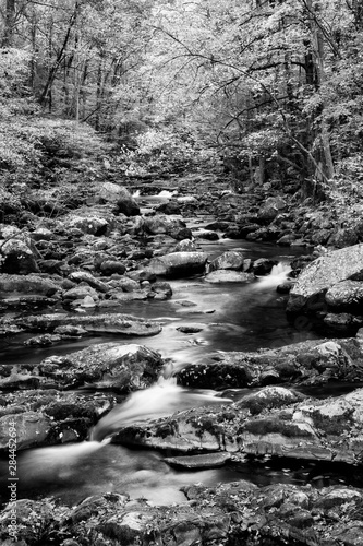 USA  North Carolina  Great Smoky Mountains National Park. Autumn at Big Creek