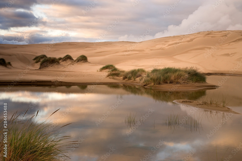 USA, Oregon, Siuslaw National Forest, Umpqua Dunes. Contrast of a lake next to sand dunes. 