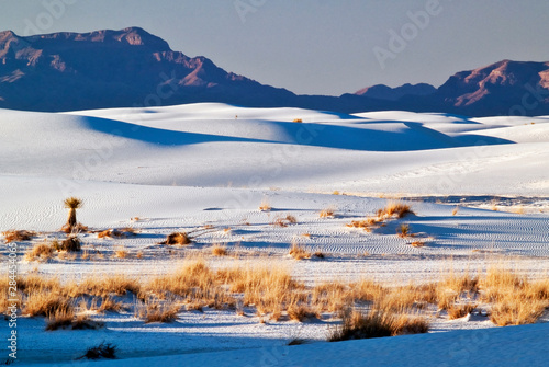 USA, New Mexico, White Sands National Monument, Dunes and vegetation stretch toward the mountains