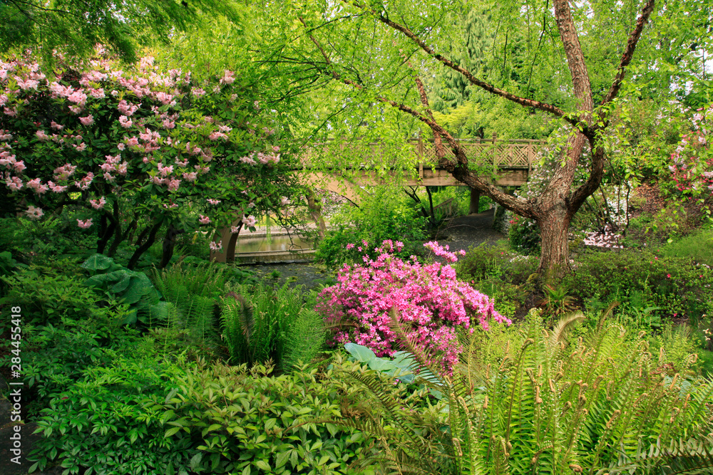 Usa, Oregon, Portland. Crystal Springs Rhododendron Garden scenic. 