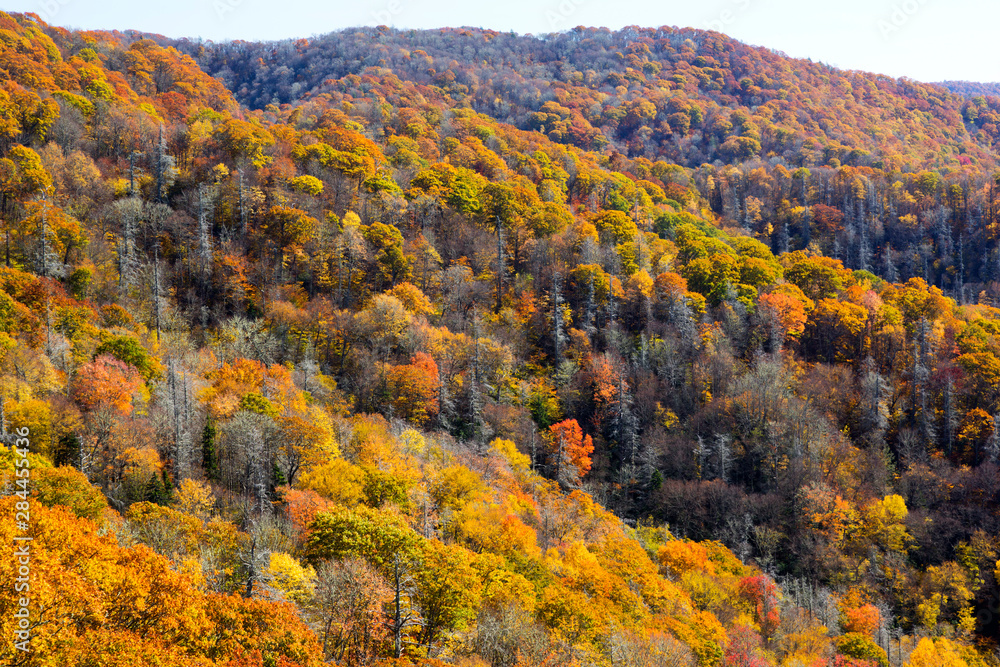 North Carolina, Great Smoky Mountains National Park, view from Newfound Gap Road