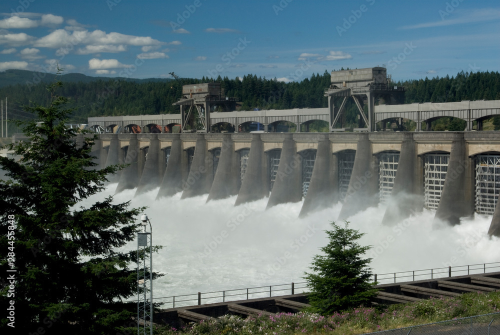 US: Oregon, Columbia River Basin, Columbia Gorge, Bonneville Dam