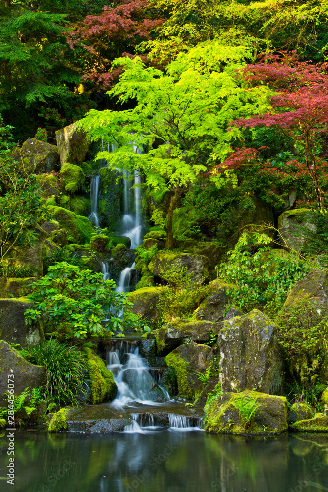 Heavenly Falls, spring, Portland Japanese Garden, Portland, Oregon, USA