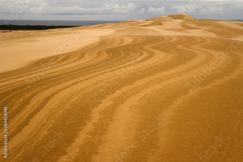 USA  Oregon  Siuslaw National Forest  Umpqua Dunes. Wavy patterns in sand dunes. 