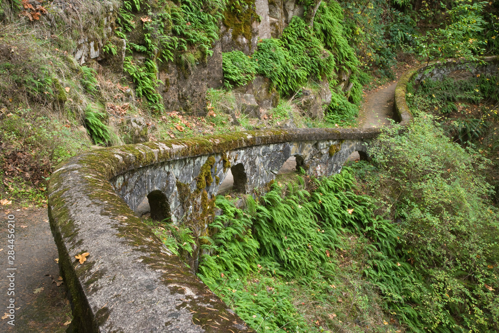 USA, Oregon, Columbia River Gorge. Stone wall next to trail above Sheppard's Dell. 